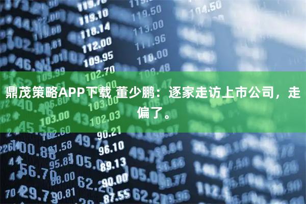 鼎茂策略APP下载 董少鹏：逐家走访上市公司，走偏了。