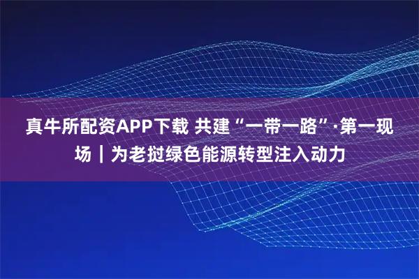 真牛所配资APP下载 共建“一带一路”·第一现场｜为老挝绿色能源转型注入动力